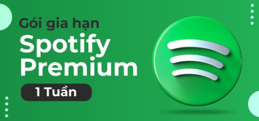 Spotify 42056