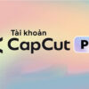 Mua tai khoan Capcut Pro