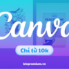 Tài khoản Canva Pro, Edu giá rẻ - binpremium.vn